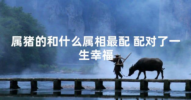 属猪的和什么属相最配 配对了一生幸福